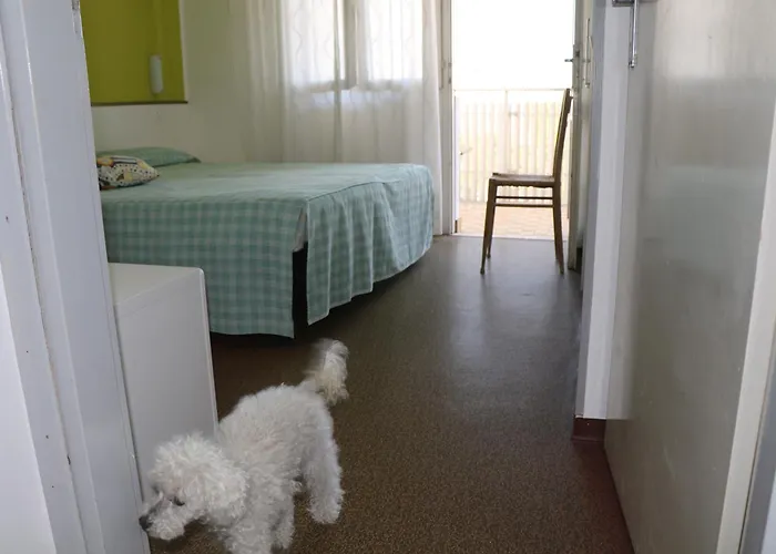 Silente L * Bibione